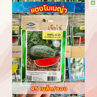 ซองเล็ก มีครบ เมล็ดพันธุ์แตงโม เจียไต๋ ซอนญ่า เมญ่า ทัมอัพ แบล็คบอมบ์ รันรัน แตงโมไร้เมล็ด
