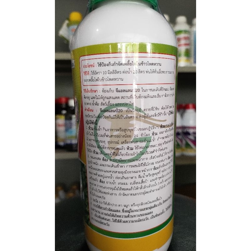 อะซีทามิพริด(จีแอลแลมป์20%)ปริมาณสุทธิ 1000 มิลลิลิตร ใช้ป้องกันเพลี้ยไฟในข้าวโพดหวาน - รูปที่ 5