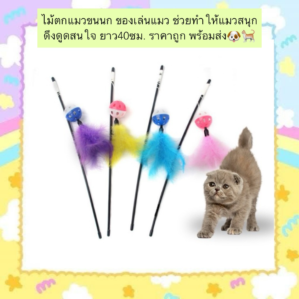 AL-601 ไม้ตกแมวขนนก ของเล่นแมว ช่วยทำให้แมวสนุก ดึงดูดสนใจ ยาว40ซม. ราคาถูก พร้อมส่ง🐶🐈