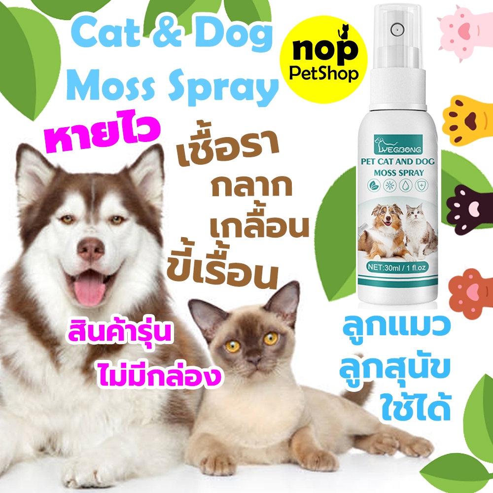 (สินค้ารุ่นไม่มีกล่อง) สเปรย์ผิวหนังสุนัขและแมว เชื้อรา กลาก เกลื้อน ขี้เรื้อน หายไว
