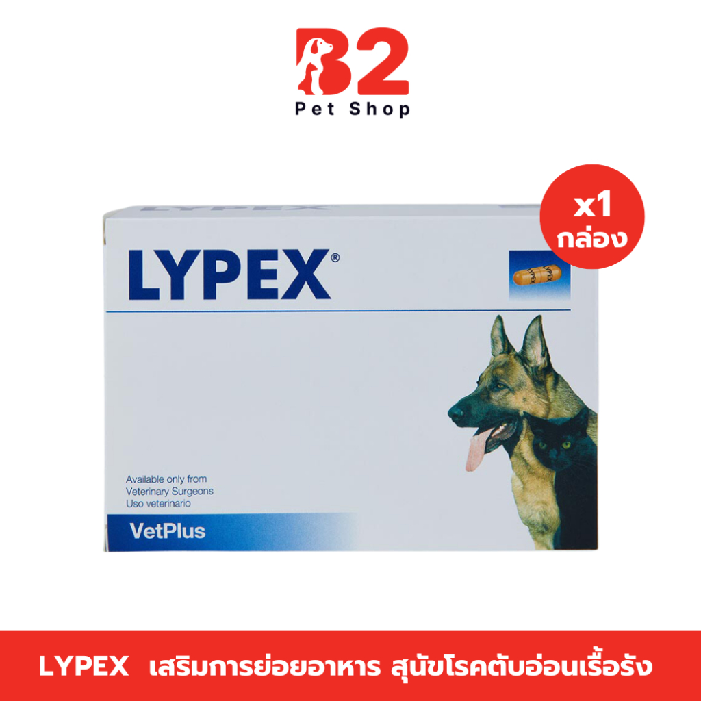 Lypex ไลเป็กซ์ เสริมการย่อยอาหารสำหรับสุนัขและแมวที่เป็นโรคตับอ่อนเรื้อรัง 3 เดือนขึ้นไป