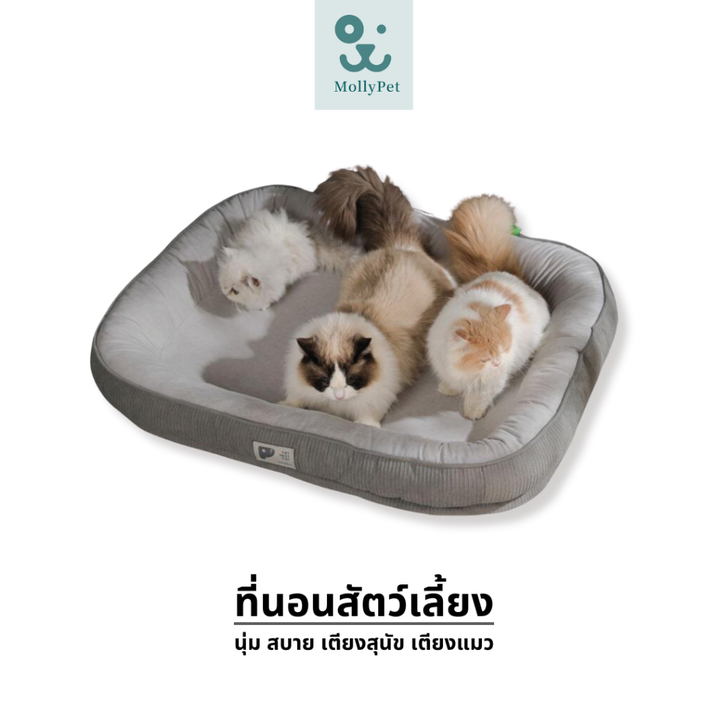 MollyPet ที่นอนสัตว์เลี้ยง ที่นอนสุนัข นุ่ม สบาย ที่นอนแมว เตียงสุนัข เตียงแมว หมา เบาะสัตว์เลี้ยง Pet Bed