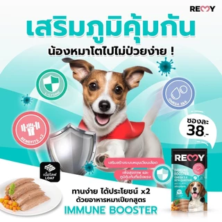 REMY เรมี่ อาหารเปียกสุนัข โลฟปลาทูน่าหน้าแครอท และฟักทอง 1 ซอง 110g