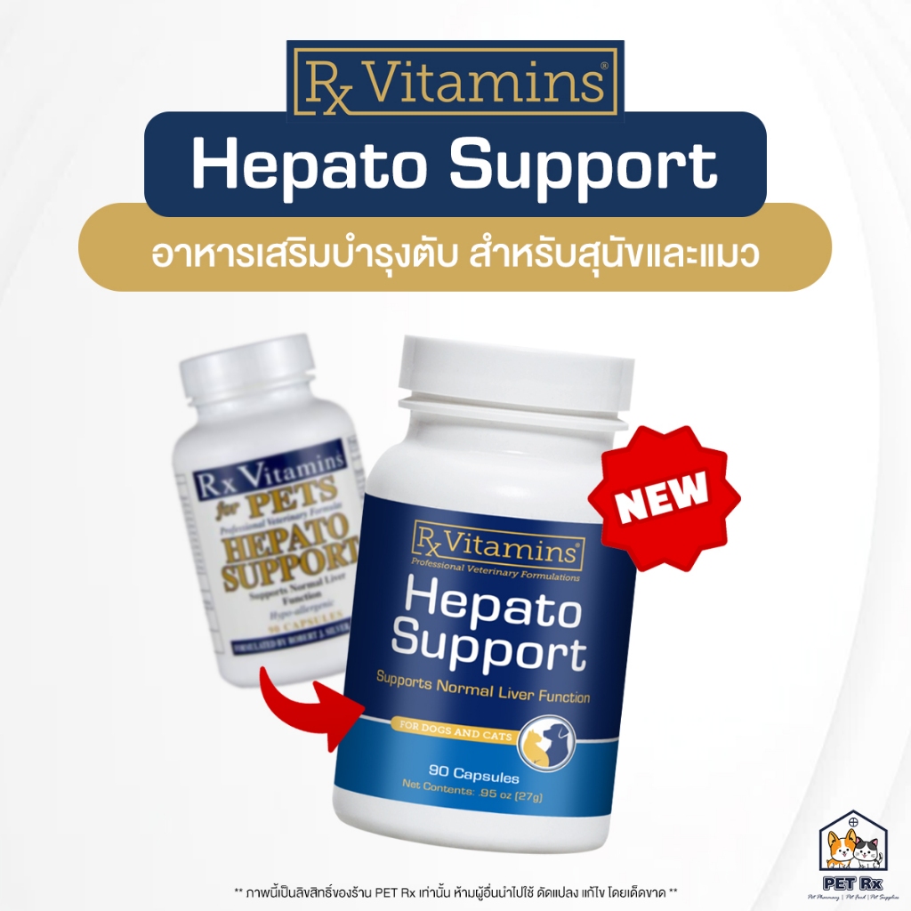 [ยกกระปุก!] 🔥 Hepato Support [แท้💯] แพ็กเกจใหม่! อาหารเสริมบำรุงตับ ชนิดเม็ดแคปซูล สำหรับสุนัขและแมว