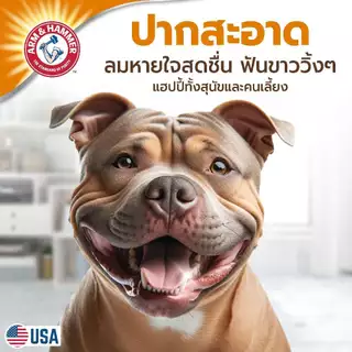 [แบรนด์แท้ USA🇺🇸] Arm and Hammer ผสมน้ำดับกลิ่นปากหมา สลายหินปูน+กำจัดกลิ่นปาก ไร้สี ไร้กลิ่น 437ml