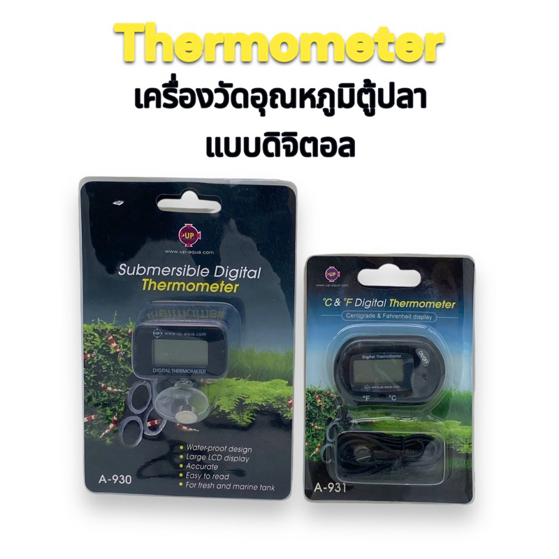 เครื่องวัดอุณหภูมิน้ำแบบดิจิตอล ความแม่นยำสูง