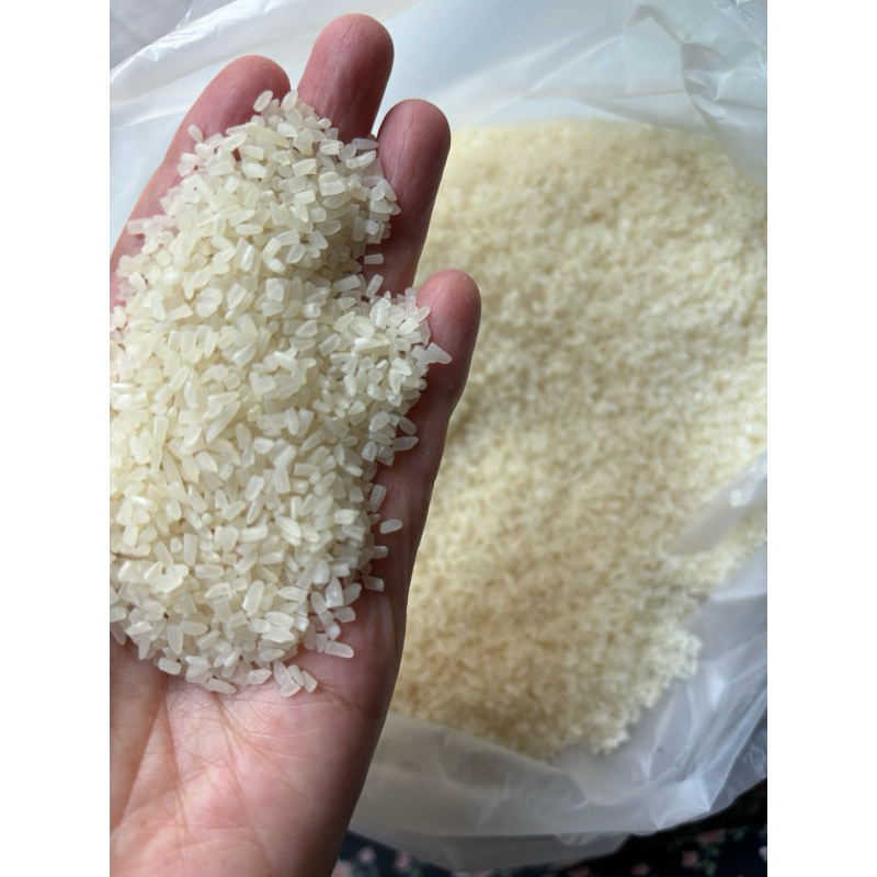 ข้าวหอมมะลิใหม่ 15 กก. ตราไดโนเสาร์