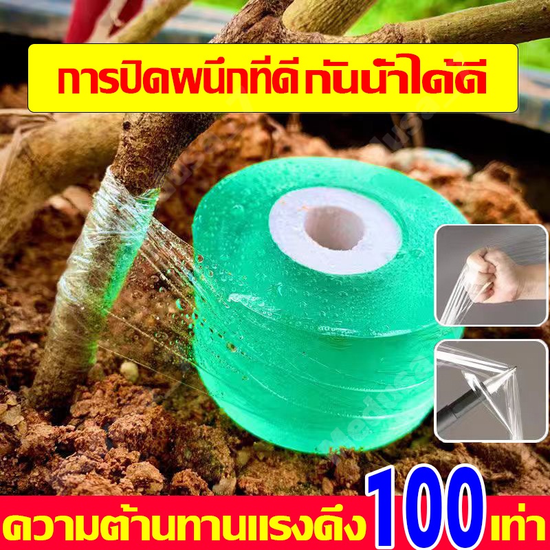 ความต้านทานแรงดึง100 เท่า เทปพันกิ่งไม้ เทปพันกิ่งทาบ แลปพลาสติก อุปกรณ์ตอนกิ่ง เทปพันกิ่งเสียบยอด