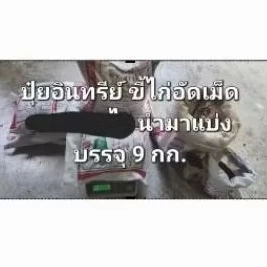ส่งฟรี! ปุ๋ยมูลไก่อัดเม็ด 9 kg ปุ๋ยอินทรีย์ ปุ๋ยคอก ปุ๋ยขี้ไก่อัดเม็ด สำหรับพืชผักไม้ผล เร่งการเติบโตใบเขียวให้ผลผลิตมาก