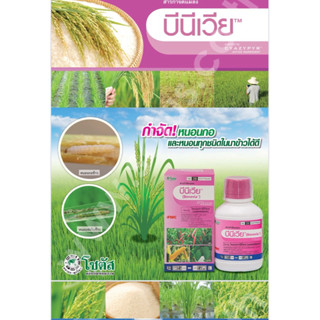 บีนีเวีย ขนาด 250 ซีซี โซตัส สาร ไซแอนทรานิลิโพรล สารกำจัดแม…