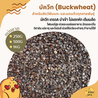 บัควีท Buckwheat เกรดA บัควีต อาหารนกแก้ว และสัตว์ฟันแทะ  สะ…