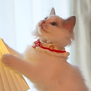 🐾 ผ้าพันคอสัตว์เลี้ยงโบว์น่ารัก ผ้าถักนุ่มนิ่ม ดีไซน์คิ้วท์สำหรับน้องหมาและแมว 🐶🐱 ปลอกคอใส่สบายสุดๆ