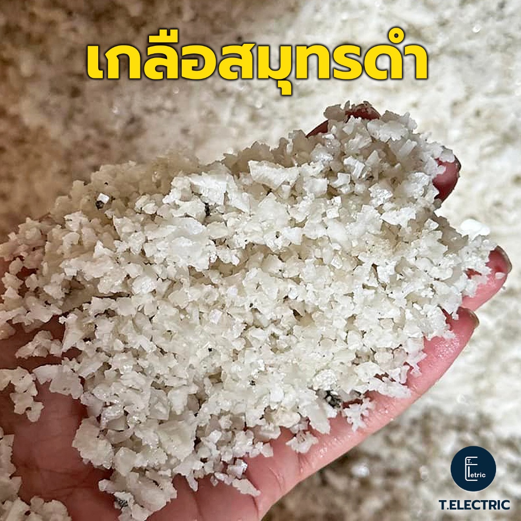 เกลือสมุทรดำ 900g. (สำหรับใส่ต้นมะพร้าว) เกลือใส่มะพร้าว เกลือทะเลสีดำ เกลือเม็ดดำ เกลือดำใส่ต้นผลไม้เพื่อปรับดิน