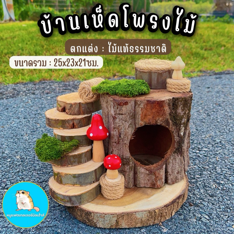🪵 บ้านเห็ดโพรงต้นไม้ มีชั้นลอยในตัว/บ้านแฮมสเตอร์ บ้านหนู ของเล่นหนู กรงหนู อะคริลิค กระรอก ชูการ์ ดอร์เม้าส์ แฟตเทล