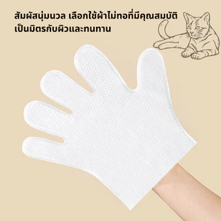 ถุงมืออาบน้ำแมว/ถุงมืออาบน้ําสุนัข 6ชิ้น/ห่อ ทิชชู่เปียกเช็ดตัวสัตว์เลี้ยง แบบใช้แล้วทิ้ง ทำความสะอาด สุนัข แมว ช่วยAnti
