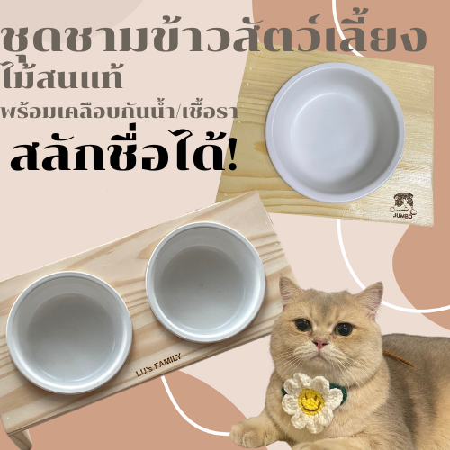 ชามข้าวสัตว์เลี้ยง มินิมอล ผลิตจากไม้สนแท้ สามารถสลักชื่อได้ เคลือบกันน้ำ ปลวก รา