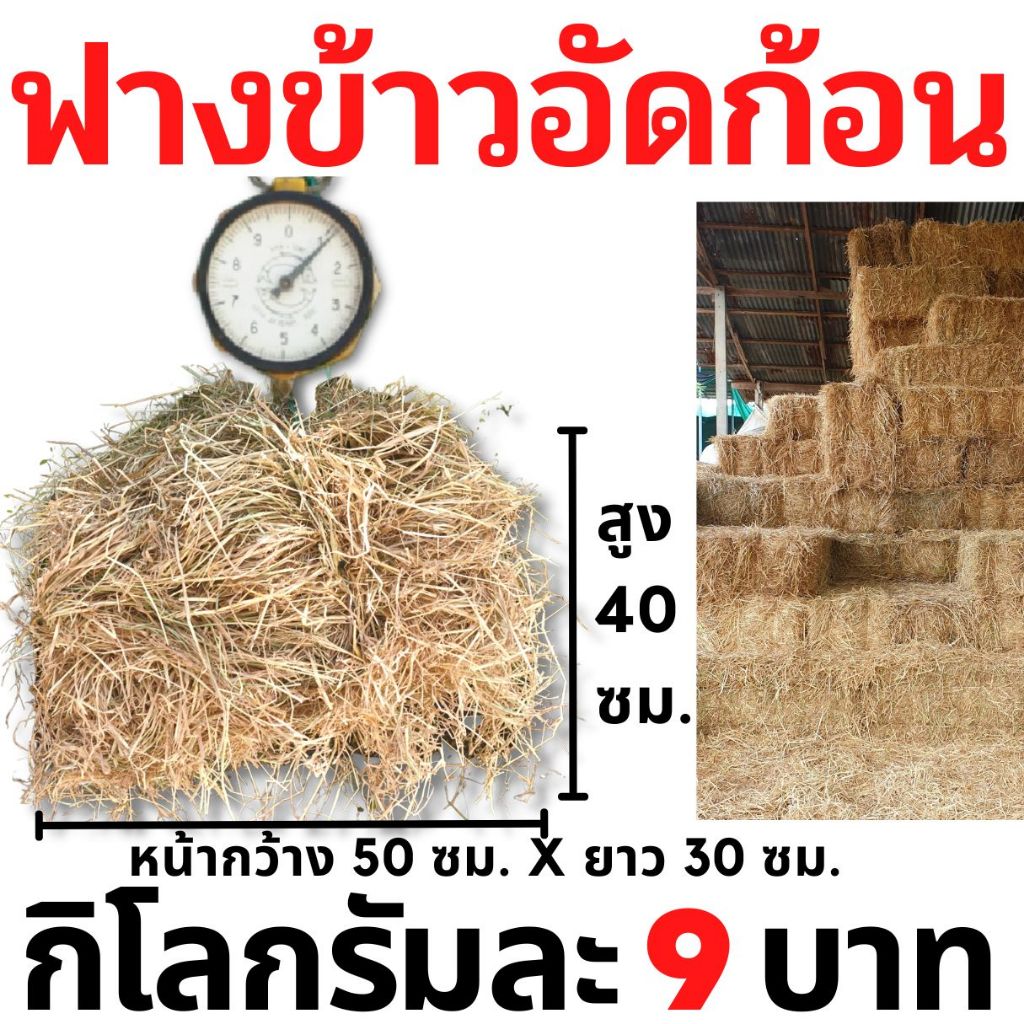 ฟาง ฟางข้าว ฟางข้าวอัดก้อน 1 กิโลกรัม 9 บาท ส่งจากนครปฐม ราคาหน้าสวน มาเอง ไม่ชื้น ไม่เก่า ไม่ราขึ้น