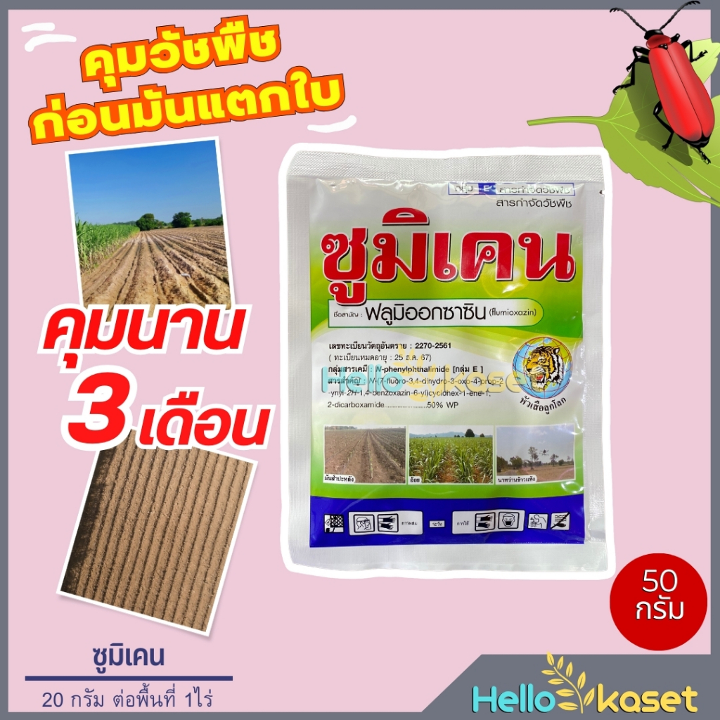 สารคุมหญ้า ซูมิเคน 50 กรัม ฟลูมิออกซาซิน คุมได้นาน ใช้ได้ในไร่มัน และ อ้อย ฉีดพ่นตอนพืชยังไม่แตกก่อ
