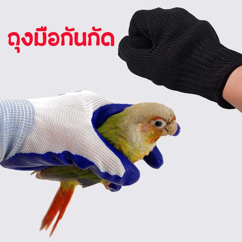 ถุงมือสำหรับป้องกันนกแก้ว แมว หนูแฮมเต้อ กัด ถุงมือกันกัด ถุงมือจับนก ป้องกันนกจิกกัด