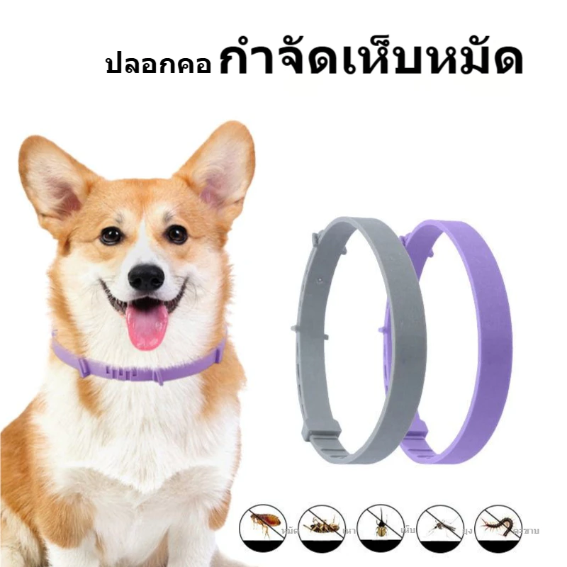 🐾 ปลอกคอกันเห็บหมัด 🐶🐱 สำหรับสุนัขและแมว 🐕🐈 ป้องกันยาวนานถึง 8 เดือน 🌟 ปลอดภัย ไร้กังวล 🎉