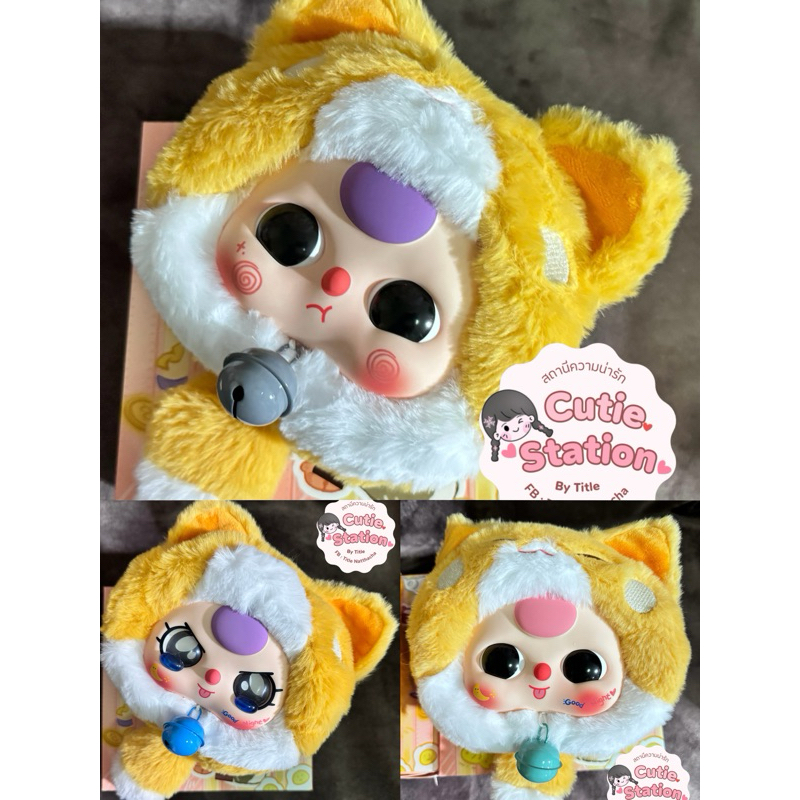 BBT Lucky Cat น้องแมวส้ม แบบเช็คตัวแล้ว