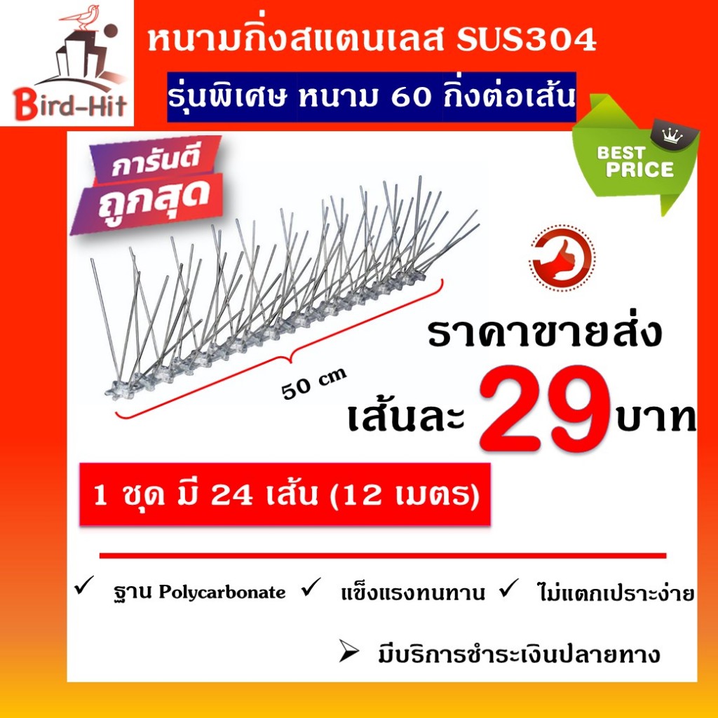 หนามกันนก​ ไล่นก​ หนามฐานโ​พลี​คาร์บอเนต​ รุ่นพิเศษ​ หนาม​ 60​ กิ่งต่อเส้น​ จำนวน​ 24 เส้น