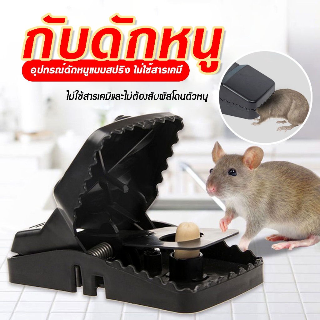 กับดักหนู อุปกรณ์ดักหนูแบบสปริง ไม่ใช้สารเคมีและไม่ต้องสัมผัสโดนตัวหนู D43