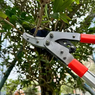 SK5 กรรไกรตัดกิ่งไม้ ยืดหดได้ ด้ามยาว ตัดกิ่งไม้สูง Cutting Branches pruning shears กรรไกรแต่งกิ่ง solo MAYILON กรรไกรตั