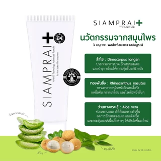 (2 หลอด) ครีมนวดแก้ปวด สยามไพรพลัส SIAMPRAI PLUS แก้ปวดเมื่อย ออฟฟิศซิมโดรม แมลงกัดต่อย สูตรเย็น 45g