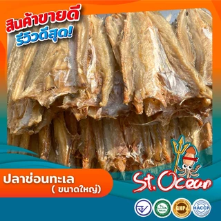 ปลาแห้ง ปลาช่อนทะลแห้ง คุณภาพส่งออก มาตรฐาน อ.ย. Halal GMP HACCP