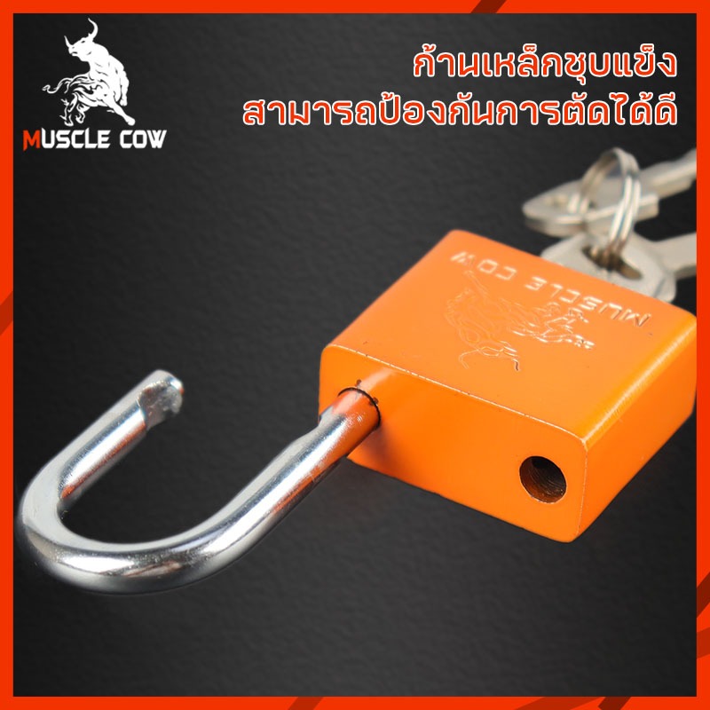 กุญแจ Muscle Cow กันน้ำ ขนาด 30-50 มิล กุญแจทองเหลือง โซโล แม่กุญแจ ของแท้ 100% กุญแจสปริง กุญแจบ้าน กุญแตตู้ กุญแจลิ้นช ราคา ถูกที่สุด ดีลบีเคเค แกลเลอรีภาพที่ 2