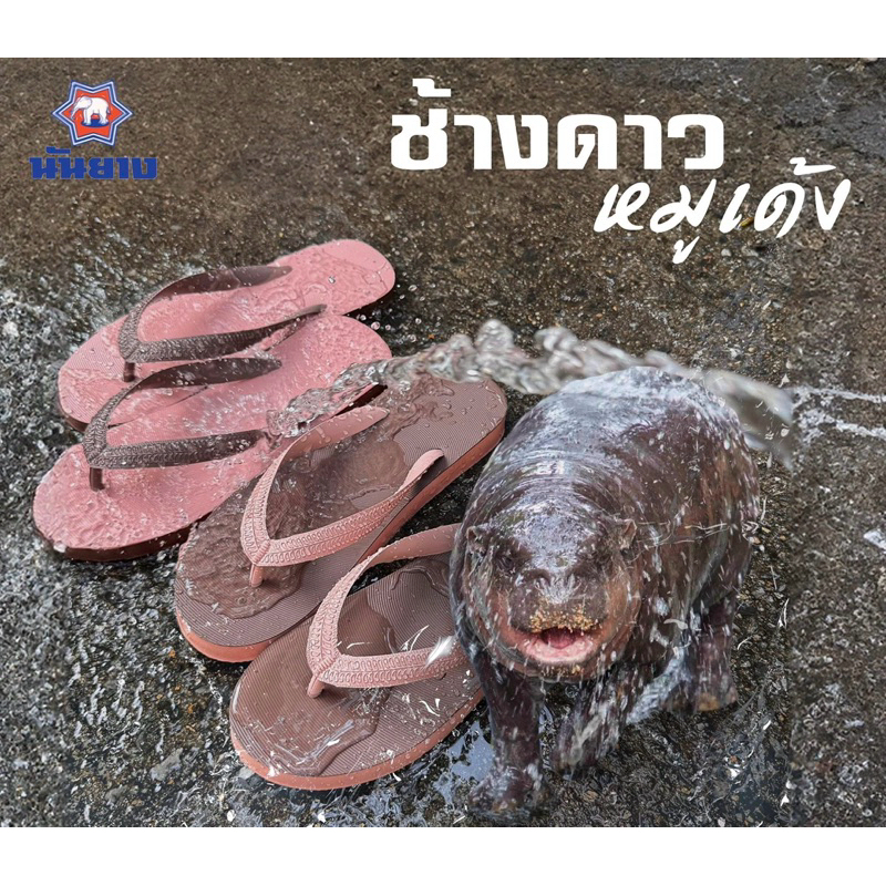 ช้างดาวหมูเด้ง แตะช้างดาวรุ่นพิเศษ พร้อมส่ง