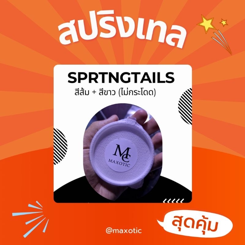 เเม่บ้านสปริงเทล springtail รวมตัวตึงกำจัดเชื้อราเเบบผสม