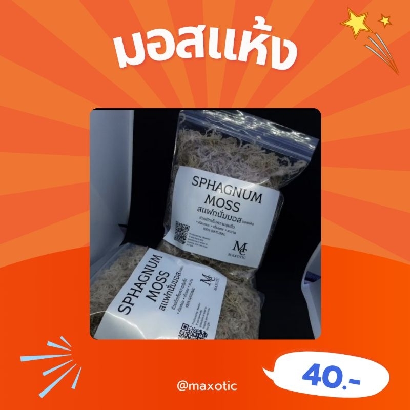 สเเฟ็กนั่มมอส (เเห้ง) สะอาดเเยกก้านคุณภาพจากMaxotic