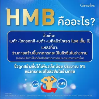เอช เอ็ม บี พลัส วิตามินดี 3 Giffarine HMB Plus Vitamin D3