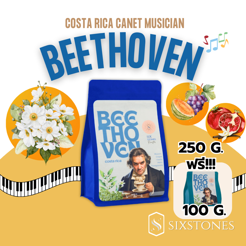 (250gแถม100g)Beethoven Costa Rica Canet Musician เมล็ดกาแฟคั่วอ่อน หอมดอกไม้ โรงคั่วกาแฟ ซิกซ์สโตนส์ sixstones