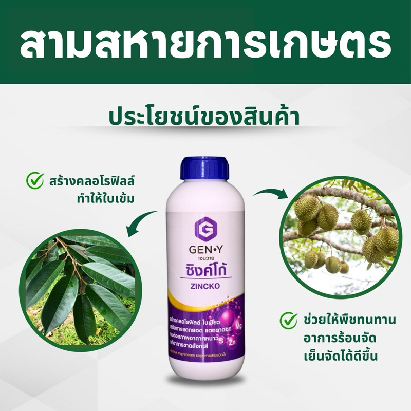 ซิงค์โก้(สังกะสี+กำมะถัน+แมกนีเซียม)ทนหนาว ใบเขียวเข้ม เร่งแตกยอด 1ลิตร