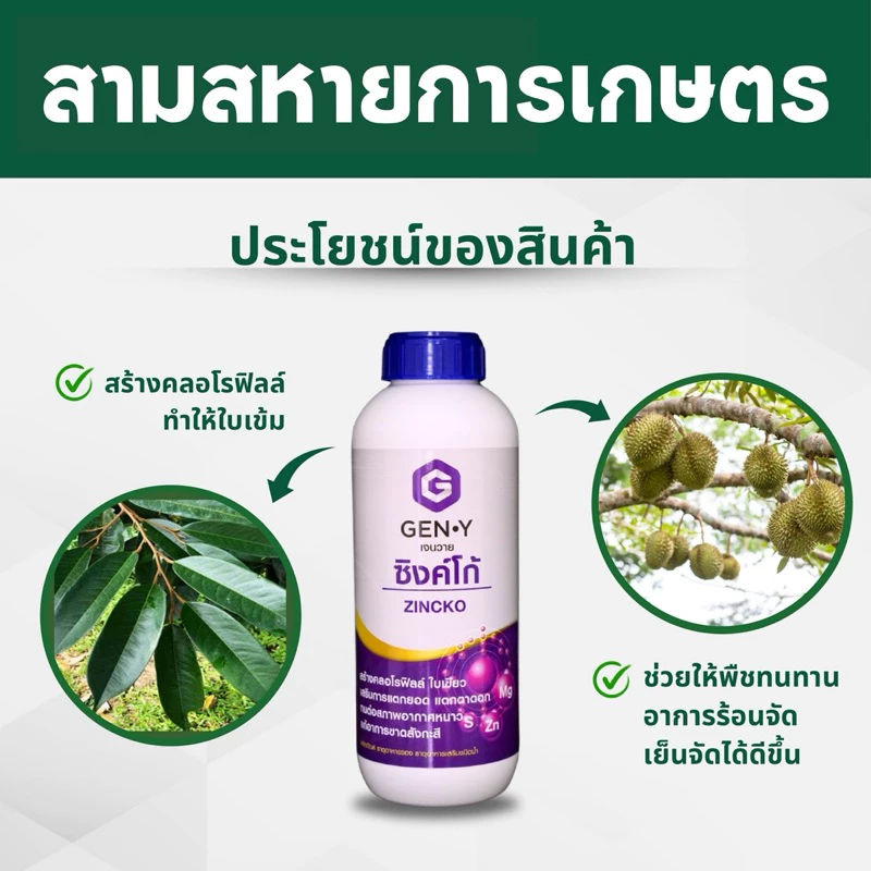 ซิงค์โก้(สังกะสี+กำมะถัน+แมกนีเซียม)ทนหนาว ใบเขียวเข้ม เร่งแตกยอด 1ลิตร