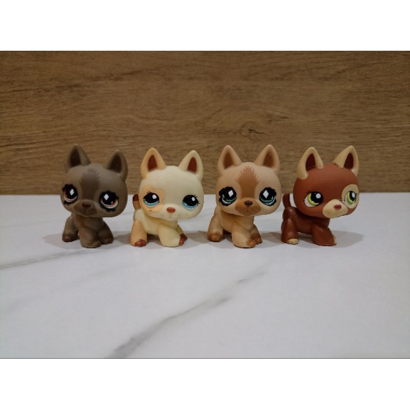 ตัวเล่น lps ของแท้ #littlest pet shop#lps