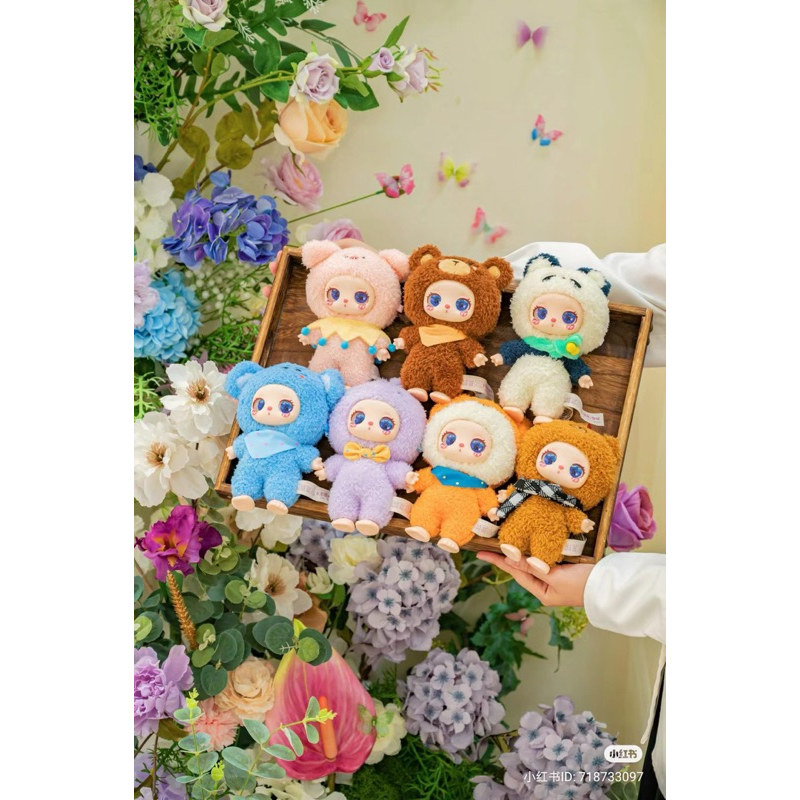 พร้อมส่งในไทย lila zoo แบบ Box มีทั้งหมด6จุ่มในซีล