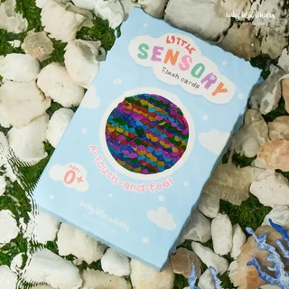Baby Blue Whales Little Sensory Flashcards (แฟลชการ์ดขนสัตว์ กระตุ้นพัฒนาการ)