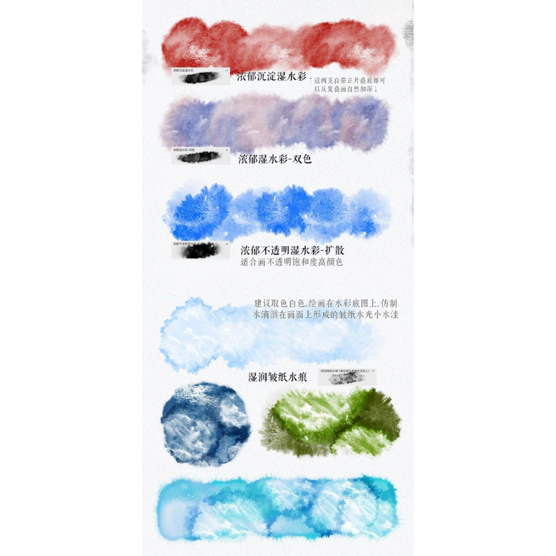 Proceate ipad 51 บรัชสีน้ำ Hand-painted E11