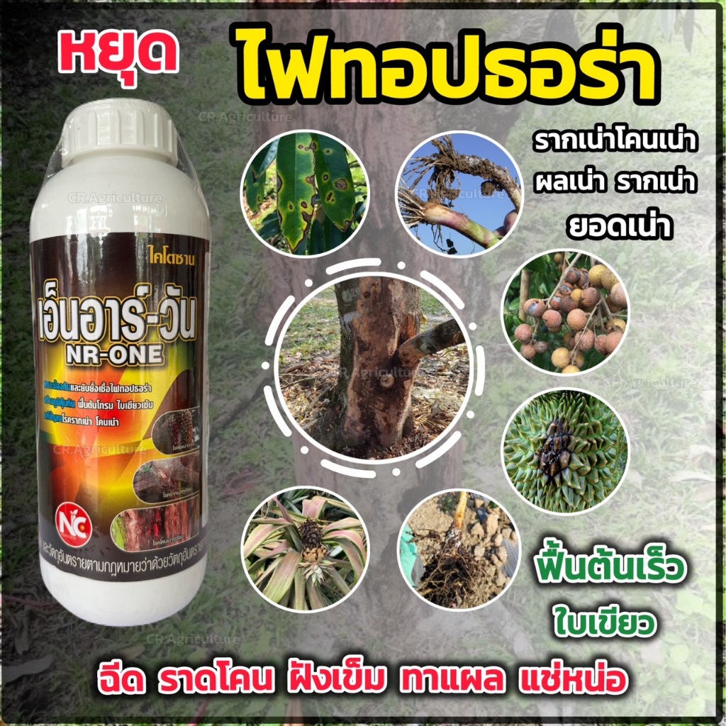 ยาเชื้อราพืช ทุเรียน เอ็นอาร์วัน ยาเชื้อราทุเรียน ยาราทุเรียน ไฟทอปธอร่า ไฟทอปเทอร่า กำจัดโรคพืช รากเน่า โคนเน่า 1ลิตร