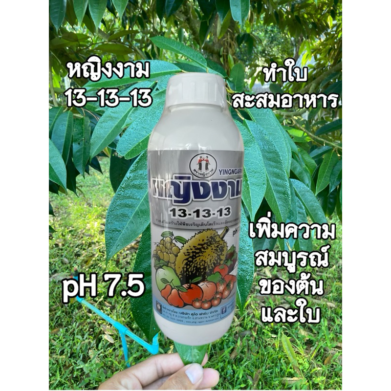 13-13-13 ปุ๋ยน้ำฟอสเฟต ตราหญิงงาม 1 ลิตร pH 7.5 ใบเขียวเข้มสมบูรณ์ ขยายใบ บำรุงต้น ขยายผลบำรุงผล