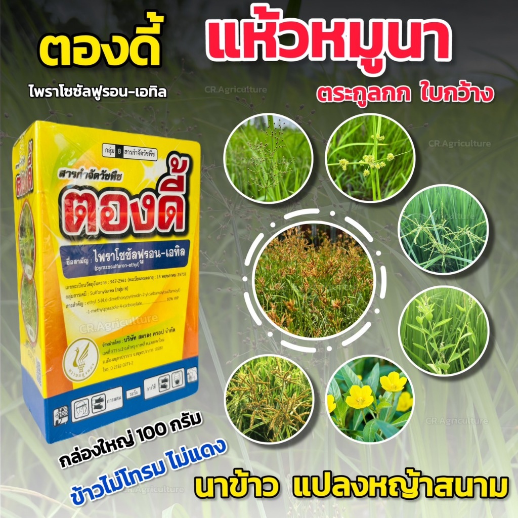 ยาฆ่าหญ้าในนาข้าว ตองดี้ ไพราโซซัลฟูรอน-เอทิล ยาฆ่าหญ้าแห้วหมู สารกำจัดวัชพืช ใบกว้าง กก ขนาด 100 กร