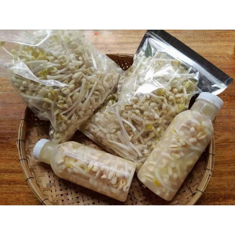 ถั่วหัวโตดองเปรี้ยว 550ml.