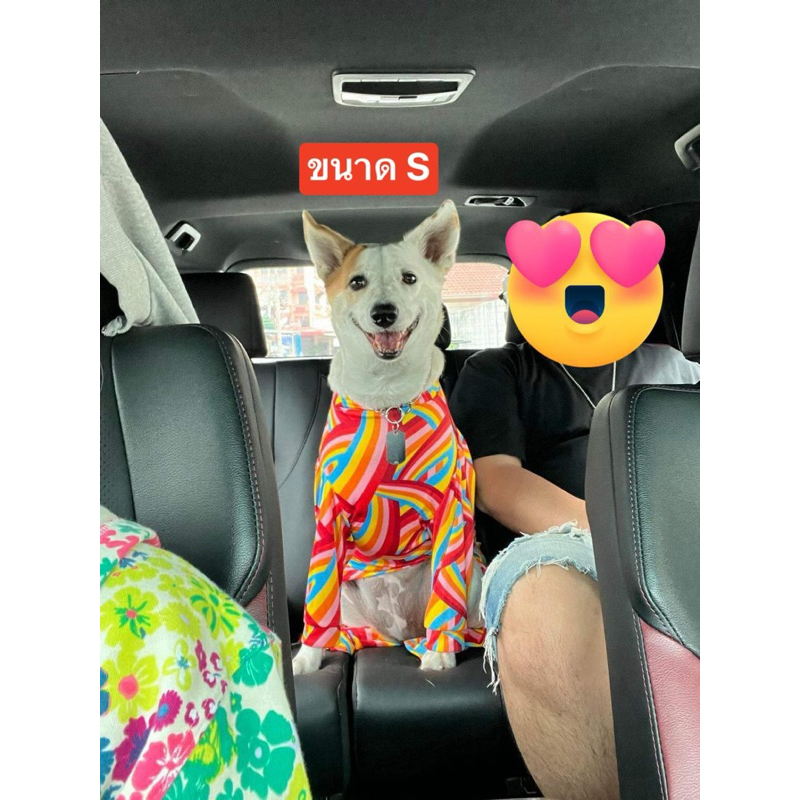 รูปภาพ 9