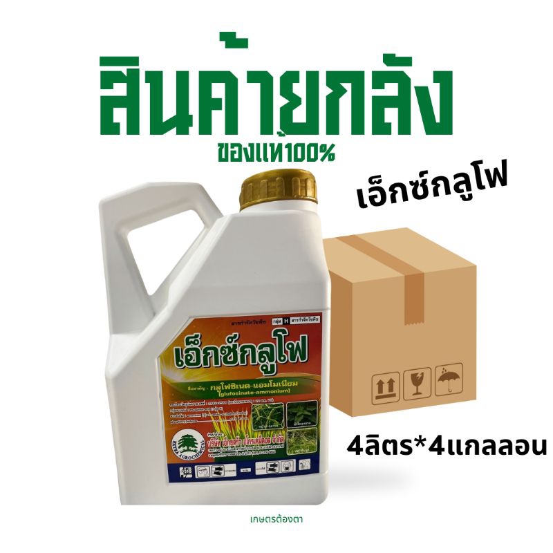 (ยกลัง4แกลลอน)เอ็กกลูโฟ 4ลิตรx4แกลลอน ของแท้