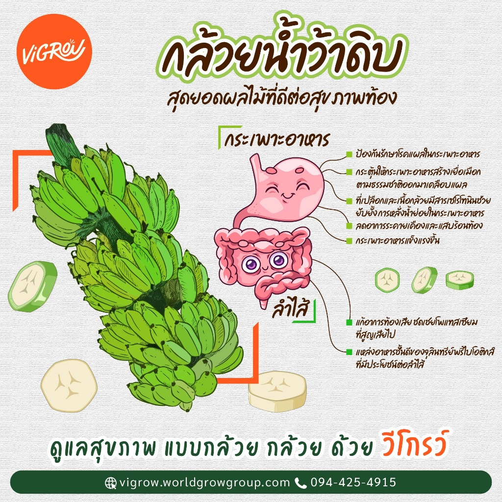 ผงกล้วยน้ำว้าดิบ ออร์แกนิก ตรา เวิลด์โกรว์ ออร์แกนิก ฟาร์ม - รูปที่ 2