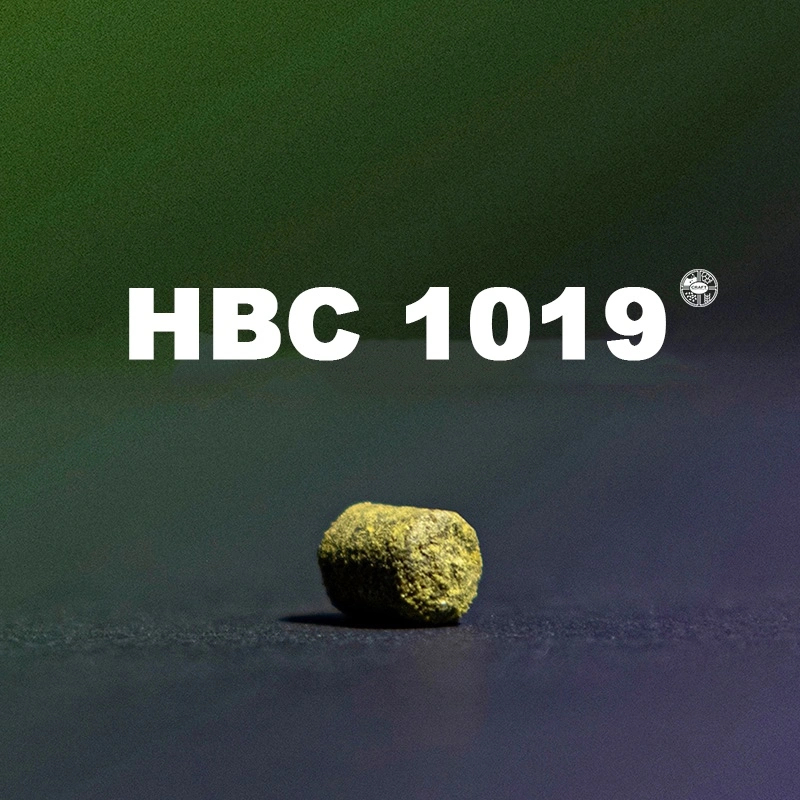 ฮอป ทำเบียร์ HBC 1019 Hops T90 แบรนด์ Haas (57g. , 28g.) Crop 2023